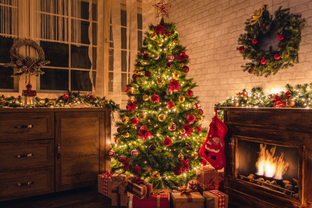 🎄 Les précommandes de sapins de Noël sont ouvertes ! 🎅